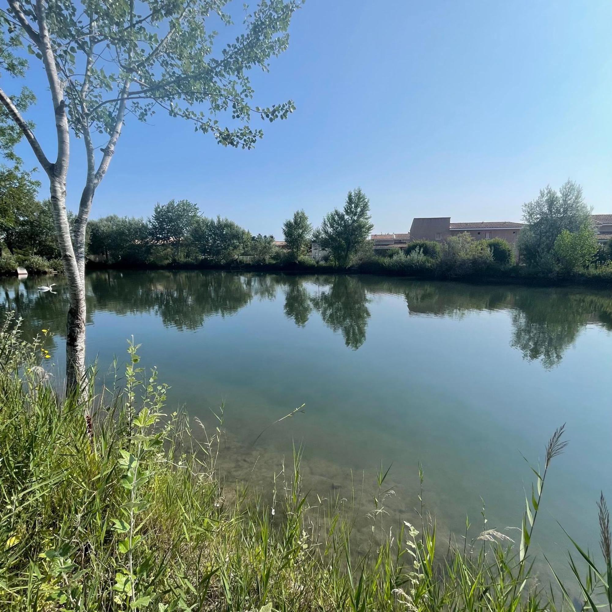 Maison Plain Pied Avec Climatisation Dans Une Residence Privee Avec Piscine Saint-Saturnin-lès-Avignon 외부 사진